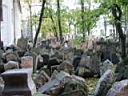 Old Jewish Cemetary 4.jpg